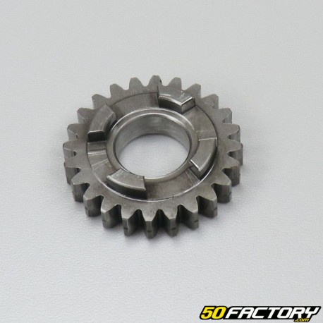 Sprocket 6eme primary shaft for Honda NSR 125 (1989 to 2001)