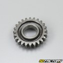 Sprocket 6eme primary shaft for Honda NSR 125 (1989 to 2001)