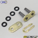 Kit chaîne renforcé à joints toriques 15x39x108 Kymco Pulsar 125 (2000 à 2003) Afam or