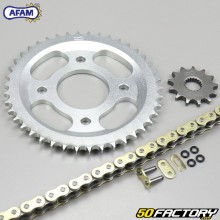 Kit de cadena de junta tórica reforzada 13x42x118 Mash Café Racer,  Scrambler  et  Seventy Five 125 Afam  or