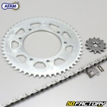 Kit catena 13x53x130 Derbi Senda,  Gilera SMT 50 ... Afam grigio