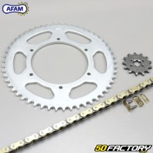 Kit catena rinforzata 13x53x132 Aprilia RS Derbi GPR 50... Afam  or