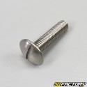 Vis 6x25mm tête bombée fente large inox (à l'unité)