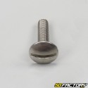 Stainless steel domed head wide slot screw (individually)