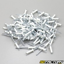 White rivets for Ø4 mm license plate (100 pieces)