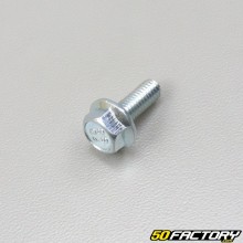 Vite 6x16 mm testa esagonale a piastra base (per unità)