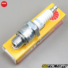 Spark plug NGK BR9HS