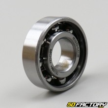 6204 C3 Bearing