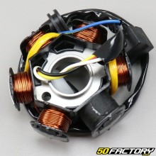 Stator d'allumage Peugeot Kisbee, Citystar, Ludix...