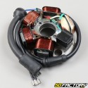 Ignition Stator  Vespa PK 50 and 125