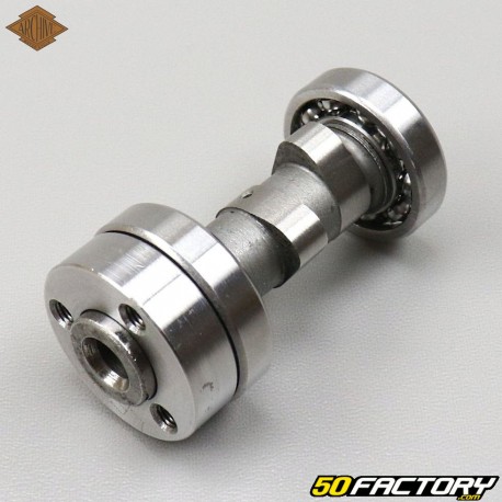 Camshaft 139FMB and 139FMB-B Archive,  Mash,  Masai, Orion ...