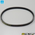 Belt Piaggio Typhoon,  Gilera Stalker... 50 2 18.7x805 mm Mitsuboshi