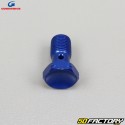 Banjo brake screw simple Goodridge blue