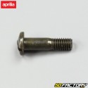 Tornillo de la palanca del embrague y cilindro principal del freno delantero Aprilia RS 50 brazo único (1993 a 1998)