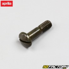 Tornillo de la palanca del embrague y cilindro principal del freno delantero Aprilia RS 50