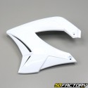 Frontverkleidung Derbi Senda,  Gilera SMT  et  RCR 50 (2000 - 2010) Evo 2 weiß