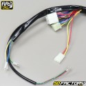 Electrical harness Derbi Senda,  Gilera Smt, Rcr (2004-2010) adaptable