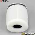 Filtro de ar Suzuki LTR 250 (1988 para 2001) Athena