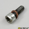 Fork dip tube screw Yamaha DTR, DT, MBK ZX, Xlimit (1989 to 2002)