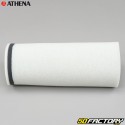 Filtro de ar Yamaha Raptor,  Warrior,  Wolverine 350 e Grizzly 600, 660 Athena