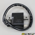 Boitier CDI bobine Suzuki RMX, SMX, TSX et TS 50