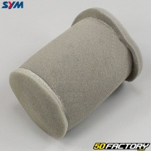 Air filter Sym XS 125 (2007 to 2016)
