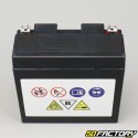 Batteria gel YT14B-BS 12V 12.6Ah Yamaha FZS 1000, XJR 1300 ...