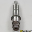 Gearbox output shaft Yamaha Raptor 250