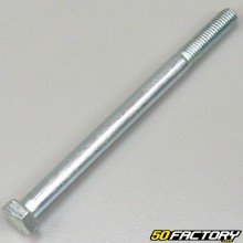 Swingarm shaft Peugeot  XNUMX SPX, RCX , Clip ...