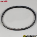 Courroie Aprilia SR, Scarabeo, Sportcity, Derbi, Gilera... 18,7x810 mm Malossi X Spécial Belt