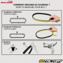 Belt Aprilia Scarabeo,  Sportcity,  Piaggio,  Gilera, Italjet 18.5x830mm Malossi XK Belt