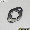 Front sprocket retaining plate Yamaha YFM Raptor 90 (2017 - 2018)