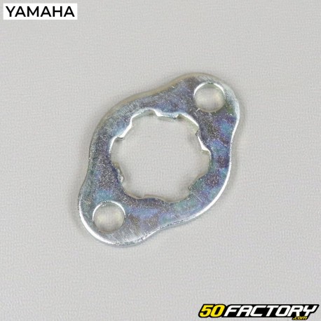 Ritzel Sicherungsblech Yamaha  YFM Raptor  XNUMX (XNUMX - XNUMX)