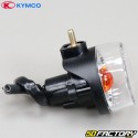 Blinker hinten links Kymco Maxxer  XNUMX, XNUMX ...