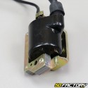 Ignition coil TNT Motor City,  Skyteam Dax 50 4T