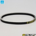 Belt Suzuki Burgman 125 22.2x847mm Mitsuboshi