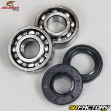 Crankshaft bearings and seals Yamaha PW 50 All Balls