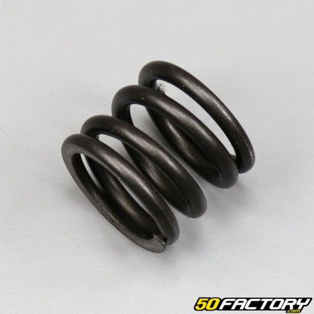 Wolf Dip Tube Spring 125 SB (2011 - 2017)