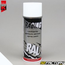 Peinture Auto-K blanc pur