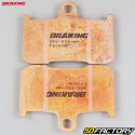 Pastillas de freno de metal sinterizado Triumph Daytona  XNUMX, Kawasaki Z XNUMX ... Braking  Evo