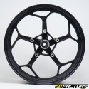 Cerchio raggi anteriori Zipp Pro XT 50