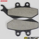 Organische Bremsbeläge Yamaha TZR  XNUMX, Derbi DRD Racing  XNUMX, Beta RR Enduro  XNUMX ... Braking