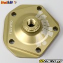 Rotax Originaltyp Zylinderkopfdom XNUMX, XNUMX Aprilia  RS, AFXNUMX, Rote Rose XNUMX ... Italkit