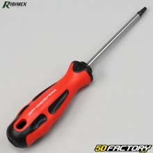 Torx screwdriver T25x100mm Ribimex