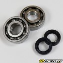 Crankshaft bearings and seals Peugeot Kisbee,  Citystar, Ludix ...