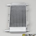 Radiator Gilera Runner, DNA, Piaggio Zip  SPXNUMX, SPXNUMX