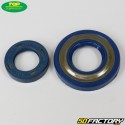 Crankshaft bearings and seals Vespa Primavera , ETXNUMX Top Performances