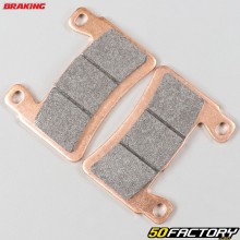 Bremsbeläge Sintermetall Kawasaki ZX Ninja XNUMX Braking