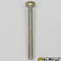 Dome head screw slotted cross (individually)