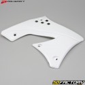 Carenados delanteros Kawasaki KXF 250, 450 (2009 - 2012) Polisport blancos